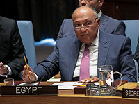 Высокопоставленная египетская делегация направляется в Москву