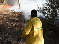 Пожар на плантации авокадо в Западном Негеве