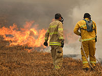 Пожары в Израиле: день хамсина и огня