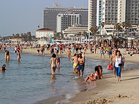 Завершается "сезон медуз" около средиземноморского побережья Израиля