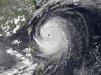 Тайфун (иллюстрация)