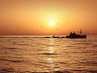 В Черном море загорелось и затонуло рыболовецкое судно. Пострадавших нет