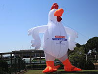 10-метровая курица попрекает политиков у Кнессета