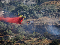 Для тушения лесного пожара около Иерусалима привлекли авиацию