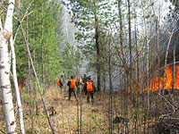   В России горит более трех миллионов гектаров леса