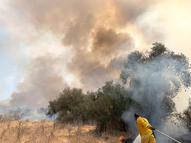 Около кибуца Бейт Нир идет тушение лесного пожара