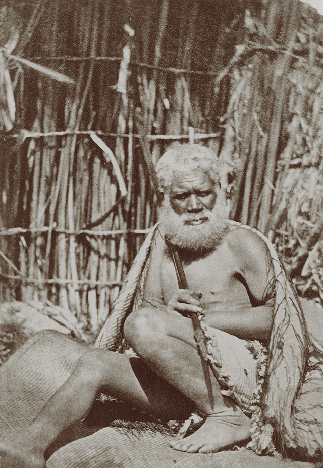 Мужчина маори с охотничьим копьем, 1870-е