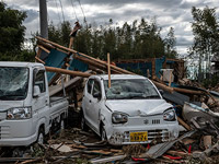 Жертвами тайфуна в Японии стали более 30 человек