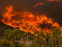 В округе Лос-Анджелес объявлено чрезвычайное положение из-за лесных пожаров