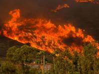 В округе Лос-Анджелес объявлено чрезвычайное положение из-за лесных пожаров