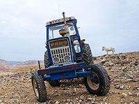 В бедуинской деревне в Негеве трактор насмерть сбил подростка