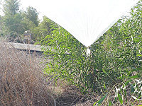 На территории Шаар а-Негев найден боеприпас, привязанный к воздушным шарам