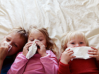 Кнессет утвердил выделение средств для сопровождающих детей-аллергиков