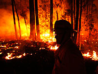 Австралия в огне: горят леса, гибнут уникальные животные. Фоторепортаж