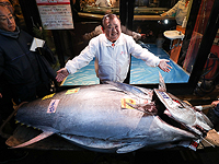 276-килограммовый голубой тунец продан на рынке в Токио за рекордные $1,8 млн