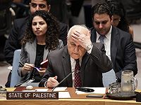 Постоянный наблюдатель от Палестины при Организации Объединенных Наций Рияд Мансур