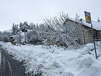 Из-за снегопада и дождя прерваны занятия в учебных заведения Голанских высот