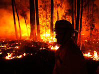 Le Monde: пожары  Австралии – будущее потеплевшего мира, утверждают ученые