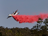 При тушении лесных пожаров в Австралии разбился самолет, погибли три человека