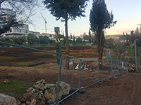 Памятник "Свеча памяти" в парке Ган Сакер в Иерусалиме. 2 февраля