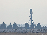 Система ПВО С-400 российского производства развернута на авиабазе турецких ВВС Мурдет