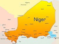 На юго-западе Нигера в ходе спецоперации уничтожены 120 террористов