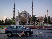 Handelsblatt: Собачий помет как экономический фактор, история собак в Стамбуле