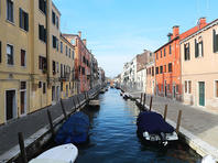 На фоне коронавируса очистились  каналы Венеции &#8211; в них завелась рыба