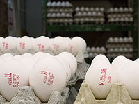 Минсельхоз просит компании морских перевозок изменить маршруты, чтобы доставить в Израиль запас яиц