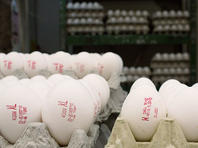 Министерства финансов и сельского хозяйства субсидируют импорт яиц из Европы в Израиль