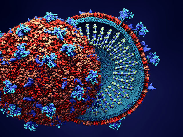 Беннет: израильские ученые приблизились к созданию антитела, побеждающего коронавирус