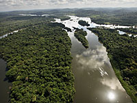 Вырубка лесов Амазонии грозит человечеству новыми вирусами и  пандемиями