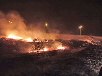 Сильный пожар около Эльада взят под контроль, выгорела территория площадью около 15 кв. км