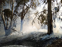 В поселке Гева Биньямин объявлена эвакуация из-за горящего кустарника