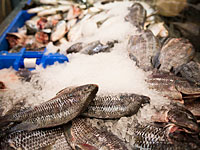 Исраэль Кац подписал указ о снижении пошлин на мороженую рыбу