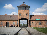 Руководство мемориального комплекса "Освенцим" обратилось за финансовой помощью