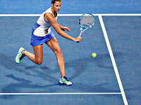 Теннис. Каролина Плишкова победила в выставочном турнире в Праге