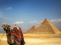 Британские борцы с расизмом потребовали снести египетские пирамиды