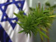 "Ликуд" и "Кахоль Лаван" сообщили о намерении продвигать легализацию марихуаны