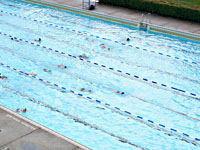 Бывшие спортсменки обвиняют Федерацию плавания США в "не противодействии сексуальному насилию над несовершеннолетними"
