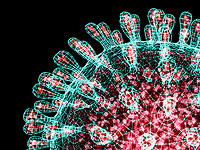 В России выявили более 100 штаммов нового коронавируса