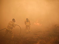 Из-за полевого пожара эвакуированы жители поселка Маоз-Цви