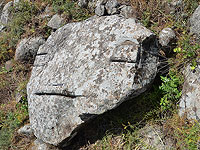 Верхний камень дольмена, похожий на человеческое лицо, неподалеку от Кирьят-Шмоны