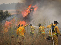В тушении пожара возле поселка Оранит вместе с пожарными участвуют добровольцы