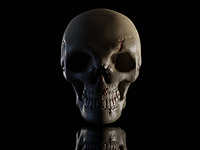 В Хевроне обнаружили скелет в заброшенном колодце