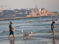 Коронавирус в Израиле: более 2300 признаны выздоровевшими за последние сутки