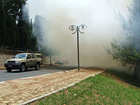 Лесной пожар на севере Израиля (лето 2006 года) после ракетного обстрела "Хизбаллы"