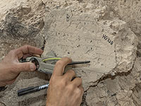 Израильские археологи подбирают ключ к загадке Эйнштейна