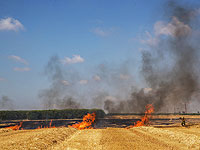 Около границы с Газой возник еще один полевой пожар