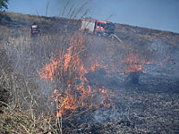 За день в Западном Негеве произошло 28 пожаров, вызванных "огненными шарами" из Газы